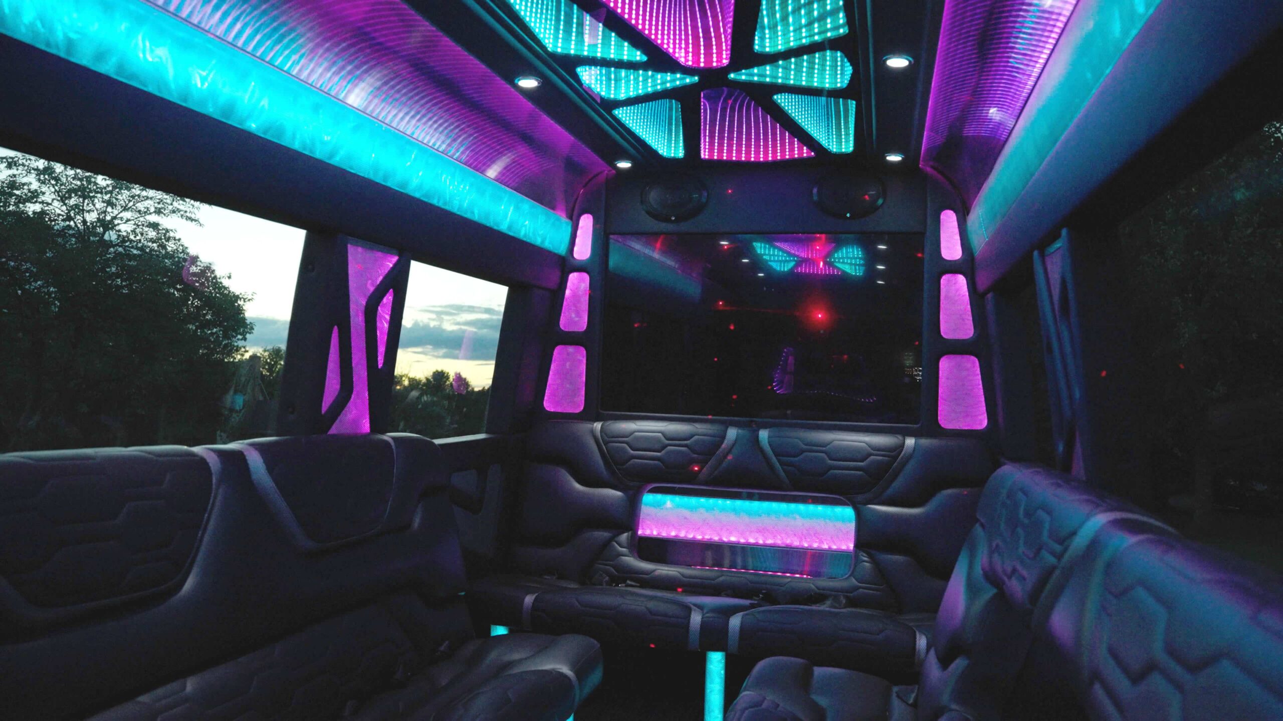 14-passenger limo bus for group transportation to the H Street Festival