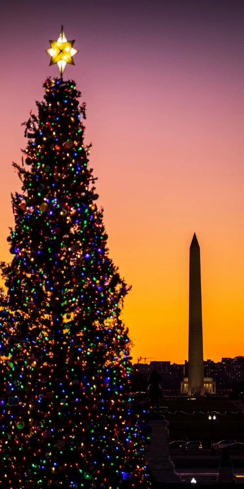 Christmas Tree in Washington DC.