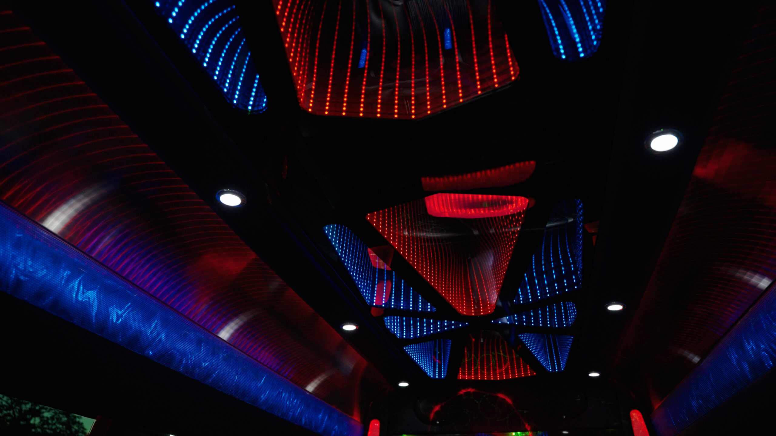 14 passenger Limo Bus