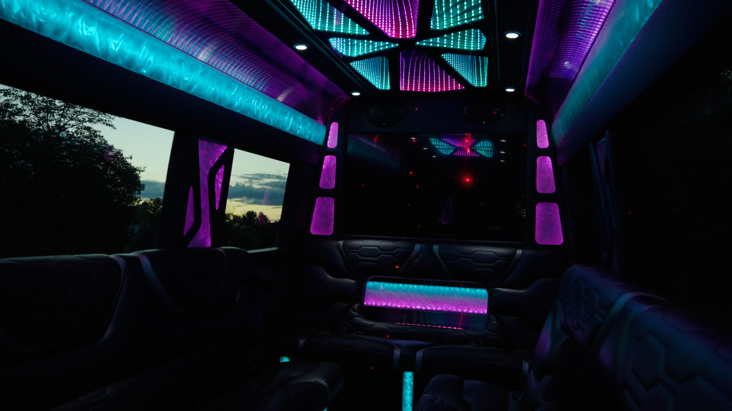 14 passenger Limo Bus